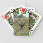 Elk Playing Cards playing cards