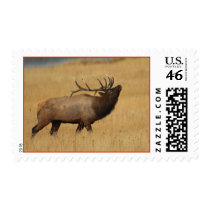 elk stamp