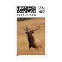 elk stamps