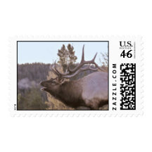 Elk Postage Stamp