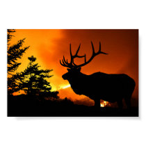 Elk posters