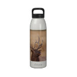 elk raspberry reusable water bottles