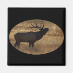 elk refrigerator magnets