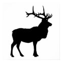 Elk Silhouette posters