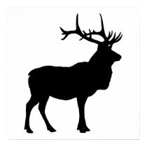 Elk Silhouette posters