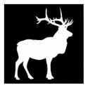 Elk Silhouette posters