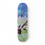 Elk Skateboard Deck
