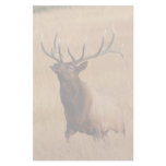 elk custom stationery