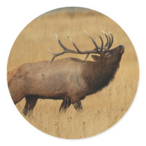 elk round stickers