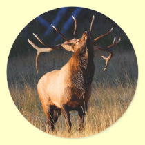 elk stickers