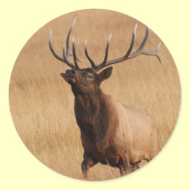 elk stickers