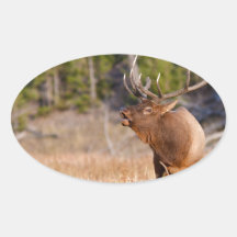 Elk Stickers