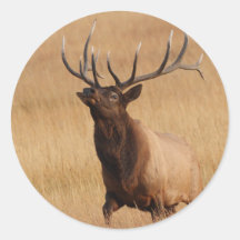 elk stickers