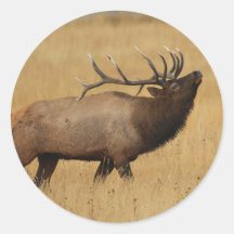 elk stickers