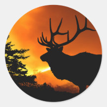 Elk Stickers