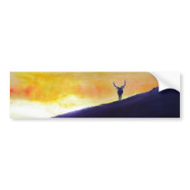 Elk Sunset bumper stickers
