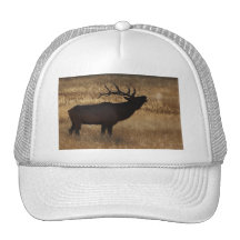 elk trucker hats