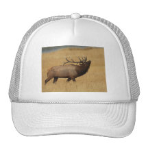 elk trucker hats