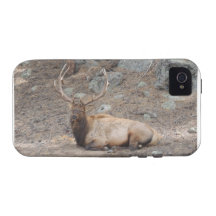 Elk Wapiti iPhone 4/4S Case
