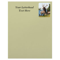 Elk Wapiti Letterhead Design