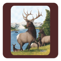 Elk Wapiti Square Stickers