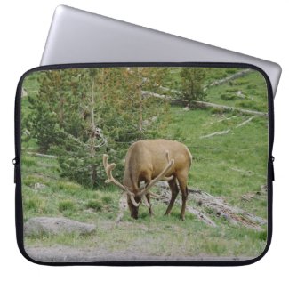 Elk with Velvet Antlers Computer Sleeves