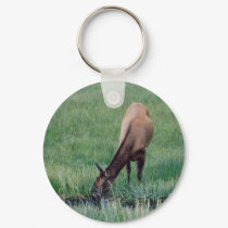 Elk- Yellowstone keychains