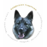 norwegian, elkhound, norwegian elkhound