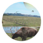 Elkloids on Lycos 3 stickers