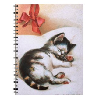 Ellen H. Clapsaddle: Christmas Kitten