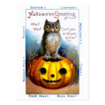 Ellen H. Clapsaddle: Halloween Owl postcards