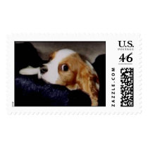 Ellens Dog postage