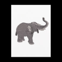 Ellie the Elephant postcards