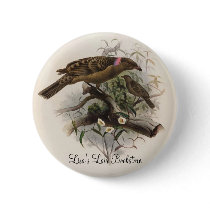 Elliot - Chlamydodera nuchalis - Great Bower-bird buttons by LisasLair Elliot - Chlamydodera nuchalis - Great Bower-bird buttons