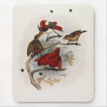 Elliot - Cicinnurus regius - King Bird Of Paradise Mouse Pads