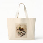 Elliot - Paradisea minor - Lesser Bird Of Paradise bags