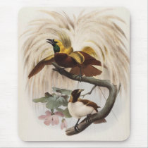 Elliot - Paradisea minor - Lesser Bird Of Paradise mousepads by LisasLair Elliot - Paradisea minor - Lesser Bird Of Paradise mousepads