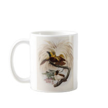 Elliot - Paradisea minor - Lesser Bird Of Paradise mugs