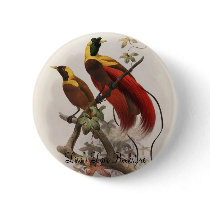 Elliot -Paradisea sanguinea - Red Bird Of Paradise buttons