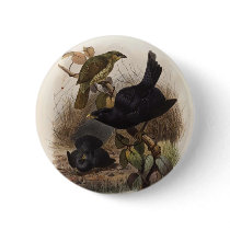 Elliot - Ptilorhynchus violaceus -Satin Bower-bird buttons by LisasLair Elliot - Ptilorhynchus violaceus -Satin Bower-bird buttons