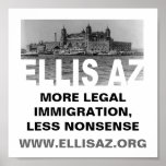EllisAZ.org Less Nonsense Poster