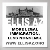 EllisAZ.org Less Nonsense Poster