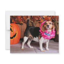 Elly - Beagle - Lucier Custom Invitation