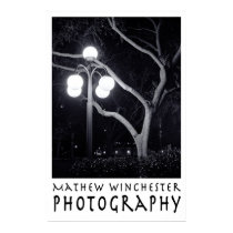Elm and Lamppost posters