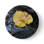 Elm Leaf Button
