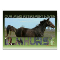 Elmhurst - '97 Breeders' Cup Sprint Winner cards