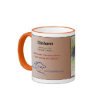 Elmhurst - '97 Breeders' Cup Sprint Winner mugs