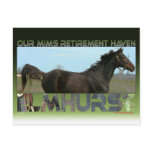 Elmhurst - '97 Breeders' Cup Sprint Winner Post Cards