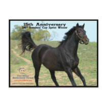 Elmhurst - '97 Breeders' Cup Sprint Winner Post Cards