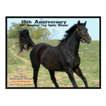 Elmhurst - '97 Breeders' Cup Sprint Winner postcards